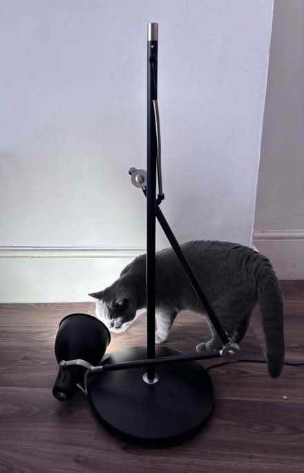 Photo of free IKEA standing lamp (NW2 4AA) #1