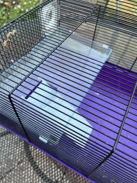 Photo of free Hamster cage and wheel (New Malden KT3) #3