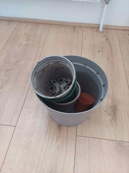 Photo of free Plant pots (Sydenham SE26) #1