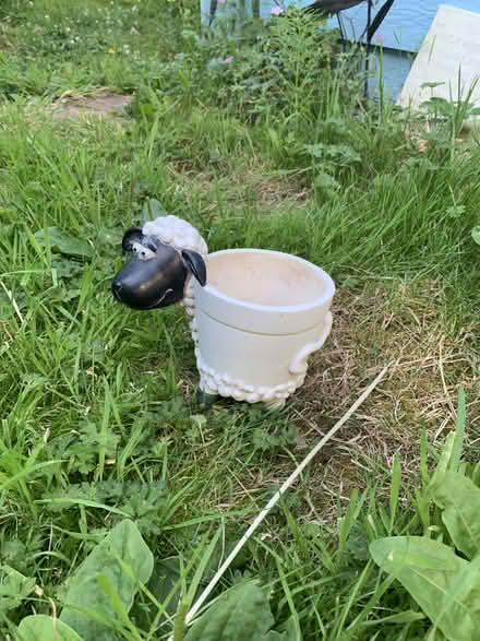 Photo of free little lamb pot (Greenwood) #2