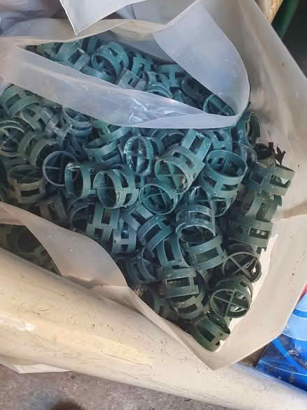 Photo of free Filter shells (ME17 boughton monchelsea) #1