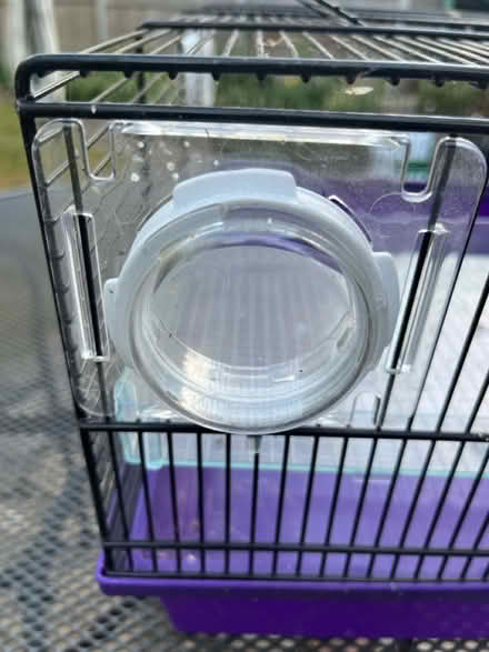 Photo of free Hamster cage and wheel (New Malden KT3) #4