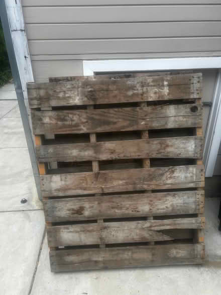 Photo of free Pallets (West Petaluma) #1
