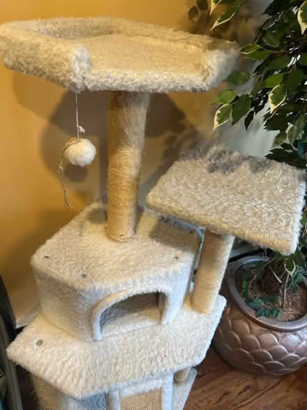 Photo of free Medium Cat Tree - 2nd generation (Cambria Heights/Jamaica) #1