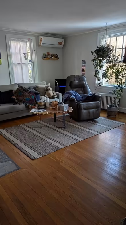 Photo of free 5' x 8' rug (near hospital) #1
