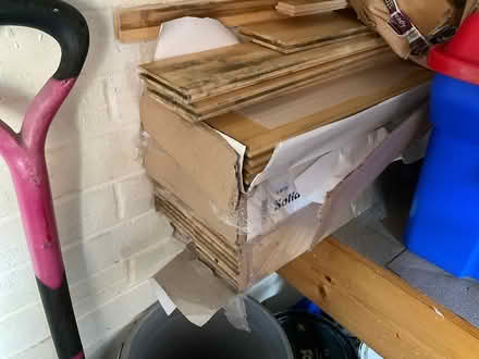 Photo of free Bamboo T@G Flooring (Misterton DN10) #1