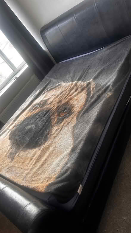 Photo of free Double bed (Hawbush DY5) #2