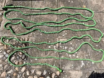 Photo of free Expandable garden hose approx 50’ (Welling DA16) #1