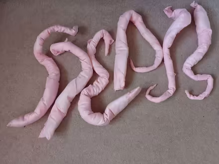 Photo of free Panto costume/World Book Day Rat or mice costume tails (6) (Selsdon CR2) #1