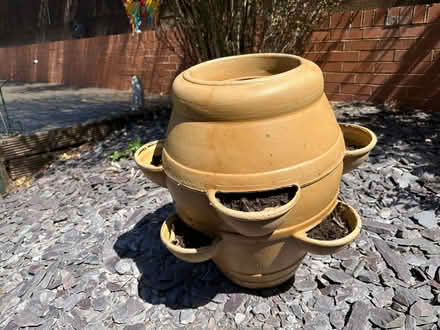 Photo of free Srawberry fruit and flower planter (Bromsgrove B60) #1