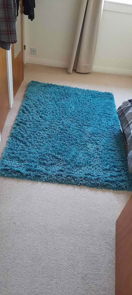 Photo of free rug (AB33) #2