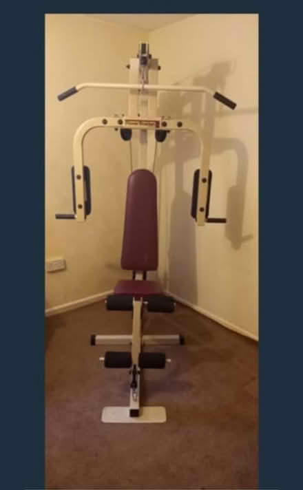 Photo of free Vintage Golds Multigym (Starcross EX6) #1