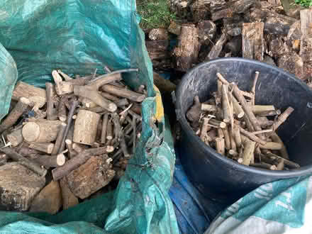 Photo of free Quantity of logs (Harrietsham ME17) #1