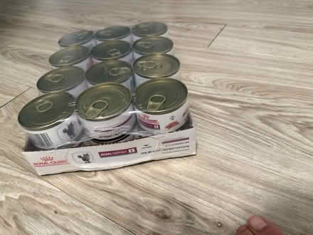 Photo of free Renal Support cat food (Lewis street Rahway) #2