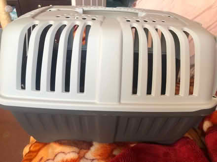 Photo of free Kitten/small cat carrier (Round Green LU2) #2