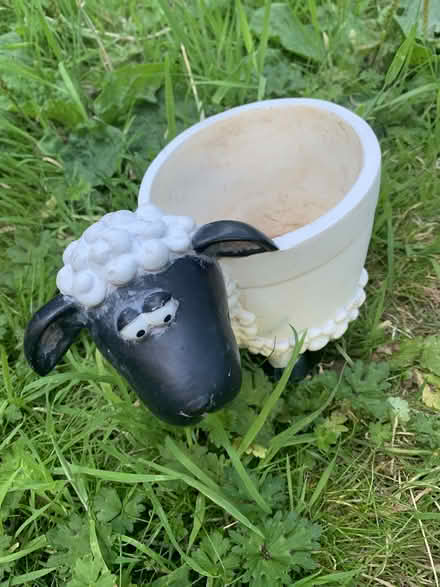 Photo of free little lamb pot (Greenwood) #1