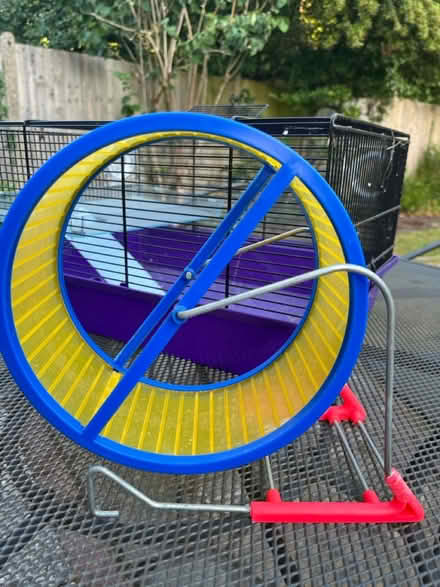 Photo of free Hamster cage and wheel (New Malden KT3) #4