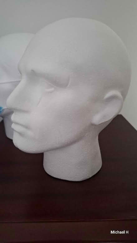 Photo of free Polystyrene heads x2 (Conniburrow MK14) #3