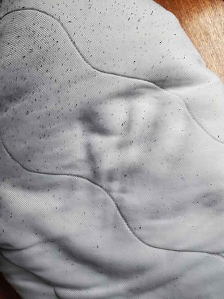 Photo of free Twin mattress cover (North Oakland) #2