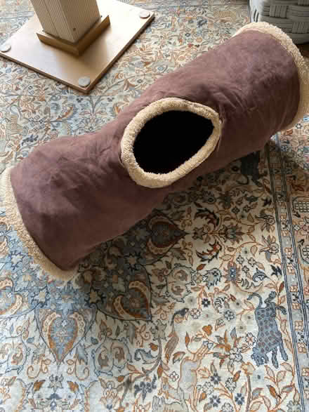 Photo of free Cat play tunnel (West Granton) #2