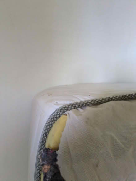 Photo of free 3' trundle bed (Great Alne B49) #4