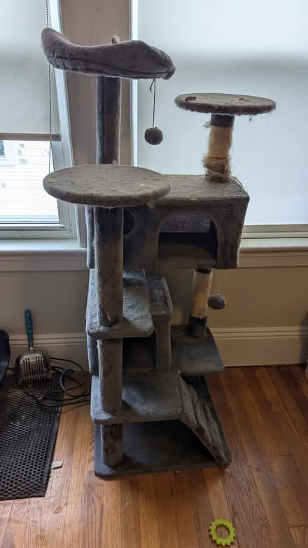 Photo of free Cat tree (East Watertown) #1