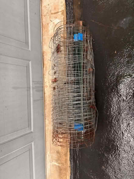 Photo of free Garden Fence with Stakes (Exeter Township near Reading) #3