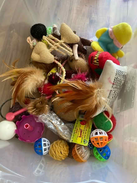 Photo of free Various cat play toys (West Granton) #1