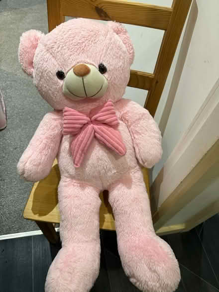 Photo of free Pink teddy bear (Bradford BD1) #1