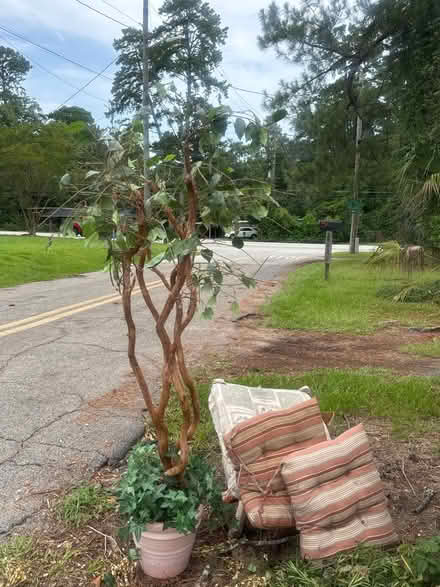 Photo of free Fake tree, patio cushions (Midtown West/Levy Park) #1