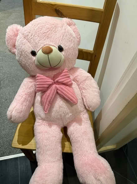Photo of free Pink teddy bear (Bradford BD1) #2