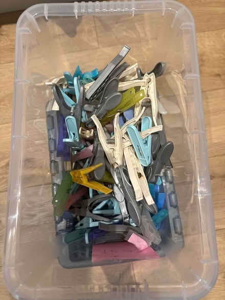Photo of free Bag of pegs (Billericay CM11) #2
