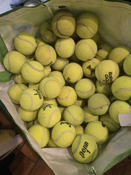 Photo of free Used tennis balls (palisades) #1