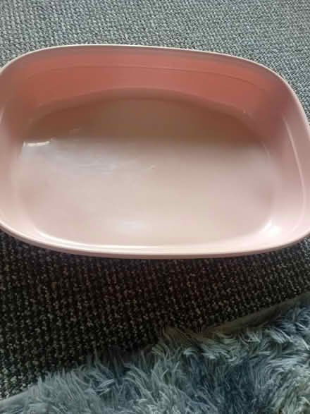 Photo of free Litter tray (The nook south shields) #1