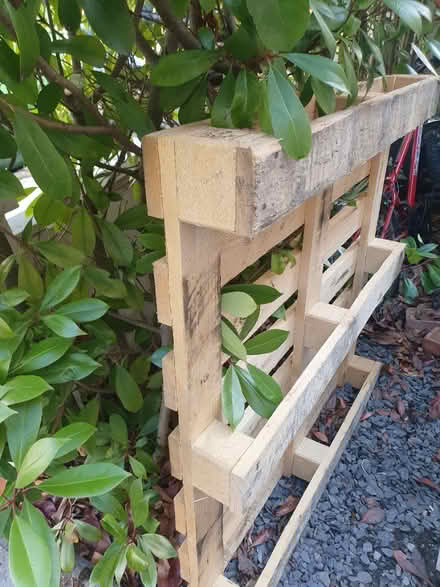 Photo of free Pallet (South Ealing) #1