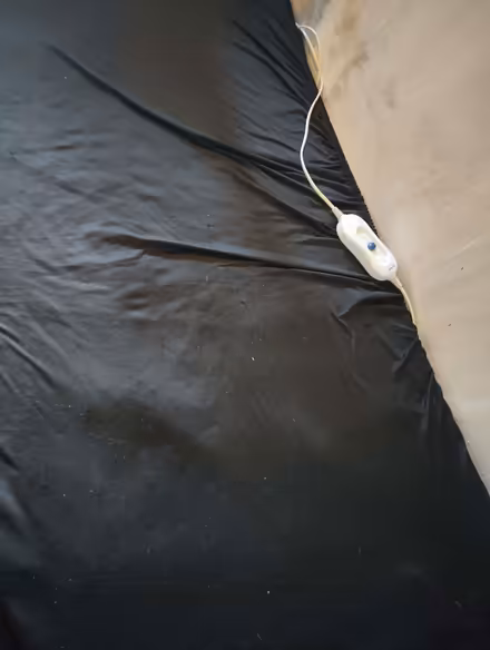 Photo of free Small mattress and electric blanket used for pet (Lings) #1