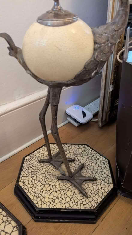 Photo of free SILVER birds with real eggshell - Africa (Ravenscourt Park W6) #1