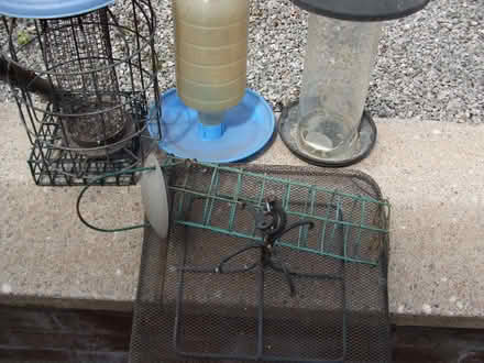 Photo of free Bird Feeders (Buckley CH7) #2