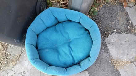 Photo of free Washable dog bed (Shirley CR0) #2