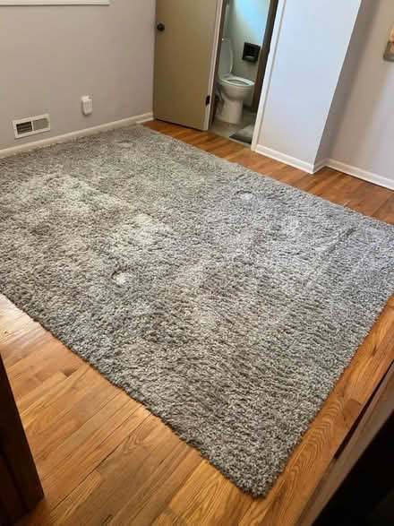 Photo of free Area rug (Overland Park, KS) #1
