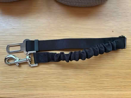 Photo of free Seatbelt for pet (East Nob Hill) #1