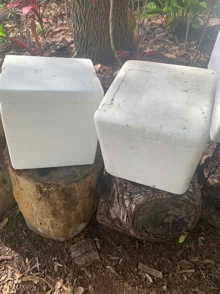 Photo of free Styrofoam containers & forms (Mims, Florida) #2