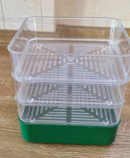 Photo of free Bean sprouter (Prenton CH43) #1