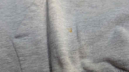 Photo of free Sussex gymnastics 2019 girls hoody, grey (Shoreham-by-Sea BN43) #2