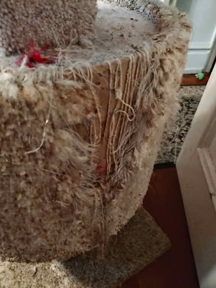 Photo of free Tall cat tree (Upper West Side) #3