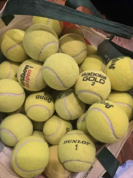 Photo of free Used tennis balls (palisades) #2