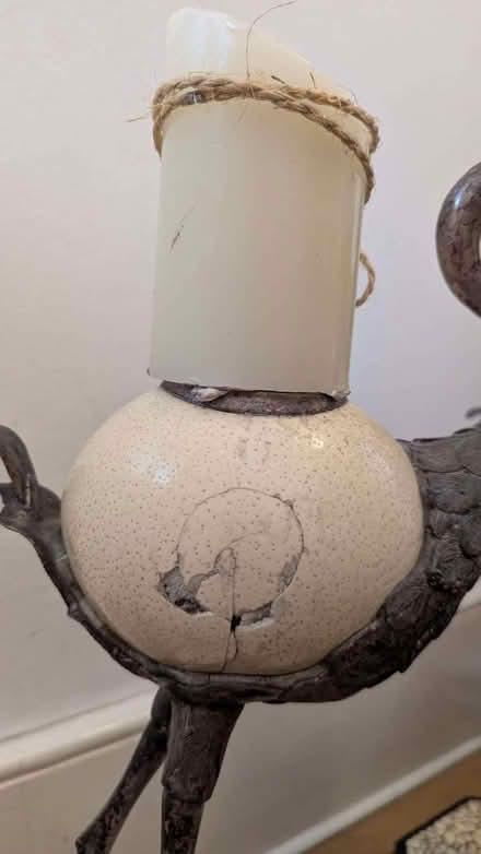 Photo of free SILVER birds with real eggshell - Africa (Ravenscourt Park W6) #3