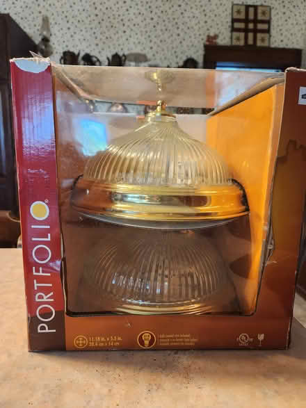 Photo of free 2 ceiling lights (Butman Fish Library area) #1