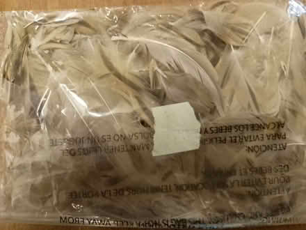 Photo of free 'Mixed Media' materials (Bucknell SY7) #3
