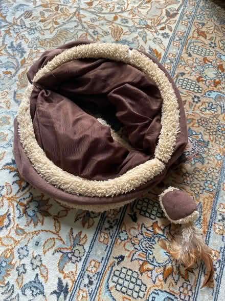 Photo of free Cat play tunnel (West Granton) #1